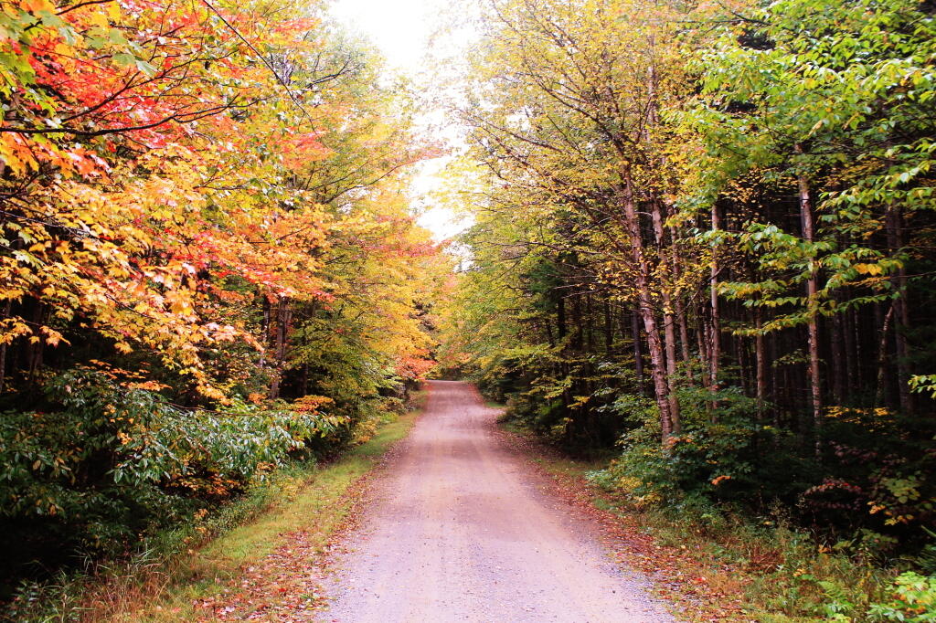 Photo: Milepoint 17