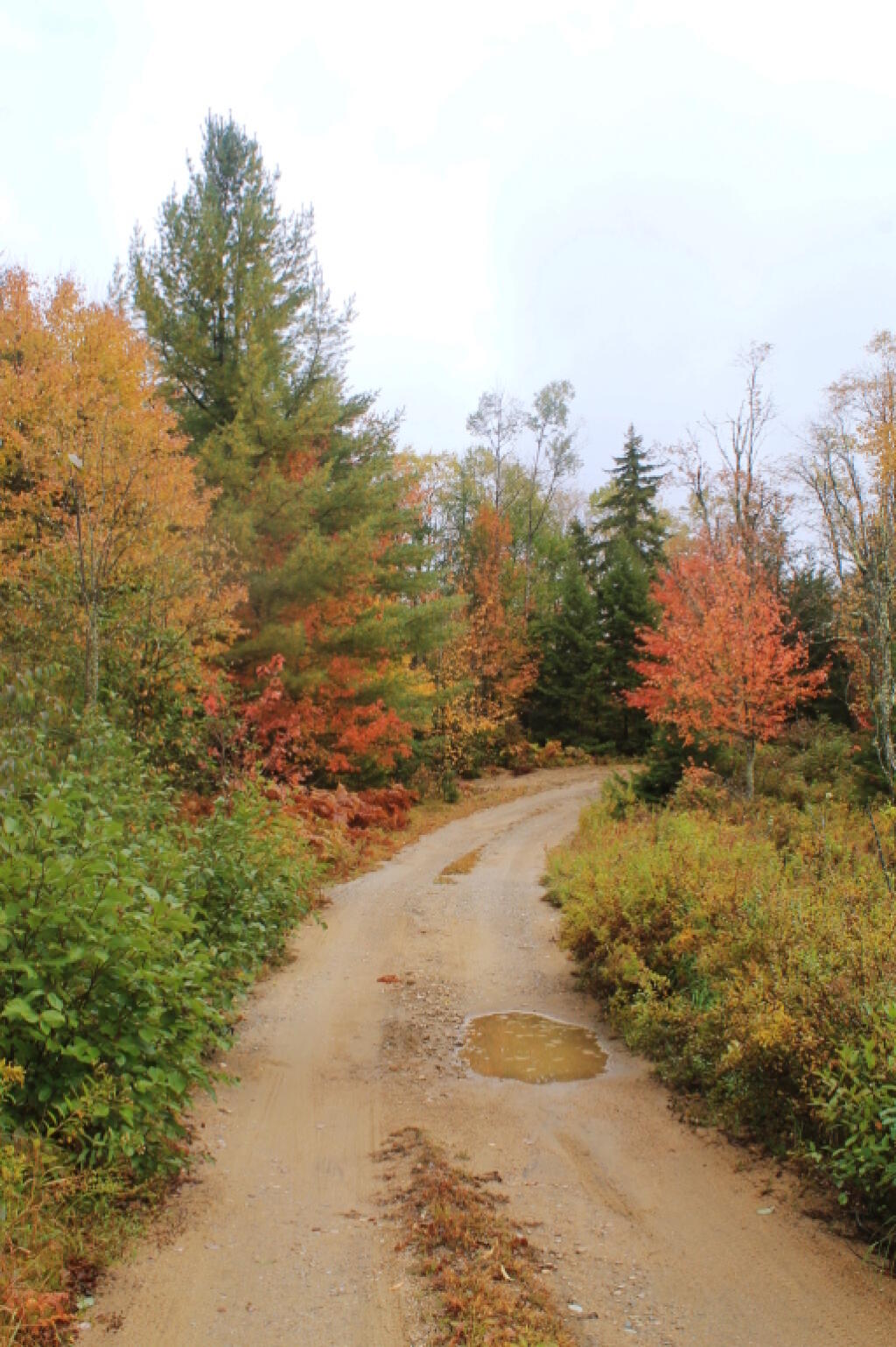 Photo: Muddy Cedar River Limekiln Lake Road After Saturday Night Rain Photo: Muddy Cedar River Limekiln Lake Road After Saturday Night Rain