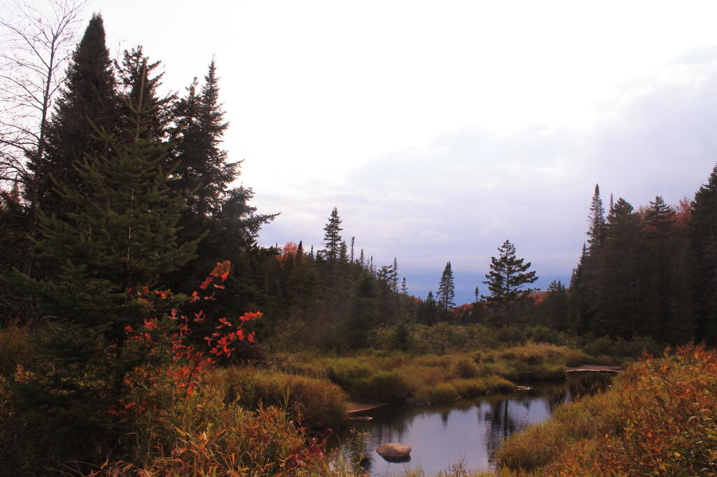 Photo: Muskrat Creek With Rain Clouds In Distance Photo: Muskrat Creek With Rain Clouds In Distance