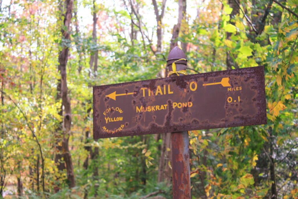 Photo: Muskrat Pond Sign Photo: Muskrat Pond Sign