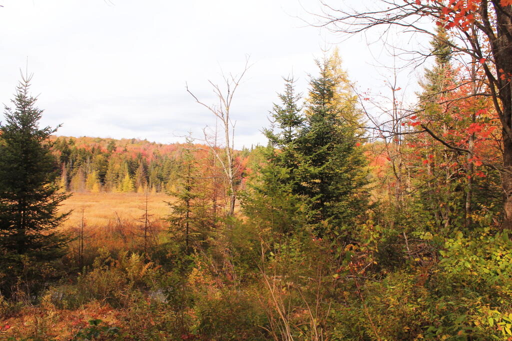 Photo: Near Indian Lake Photo: Near Indian Lake