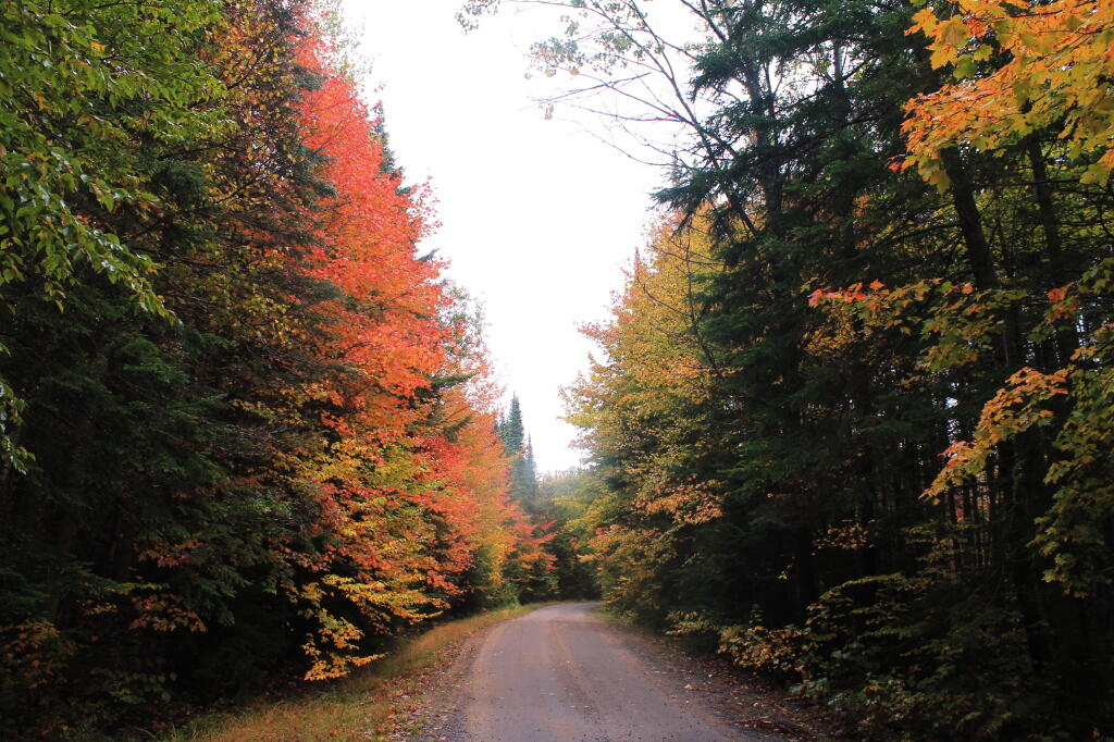 Photo: Near Milemarker 20