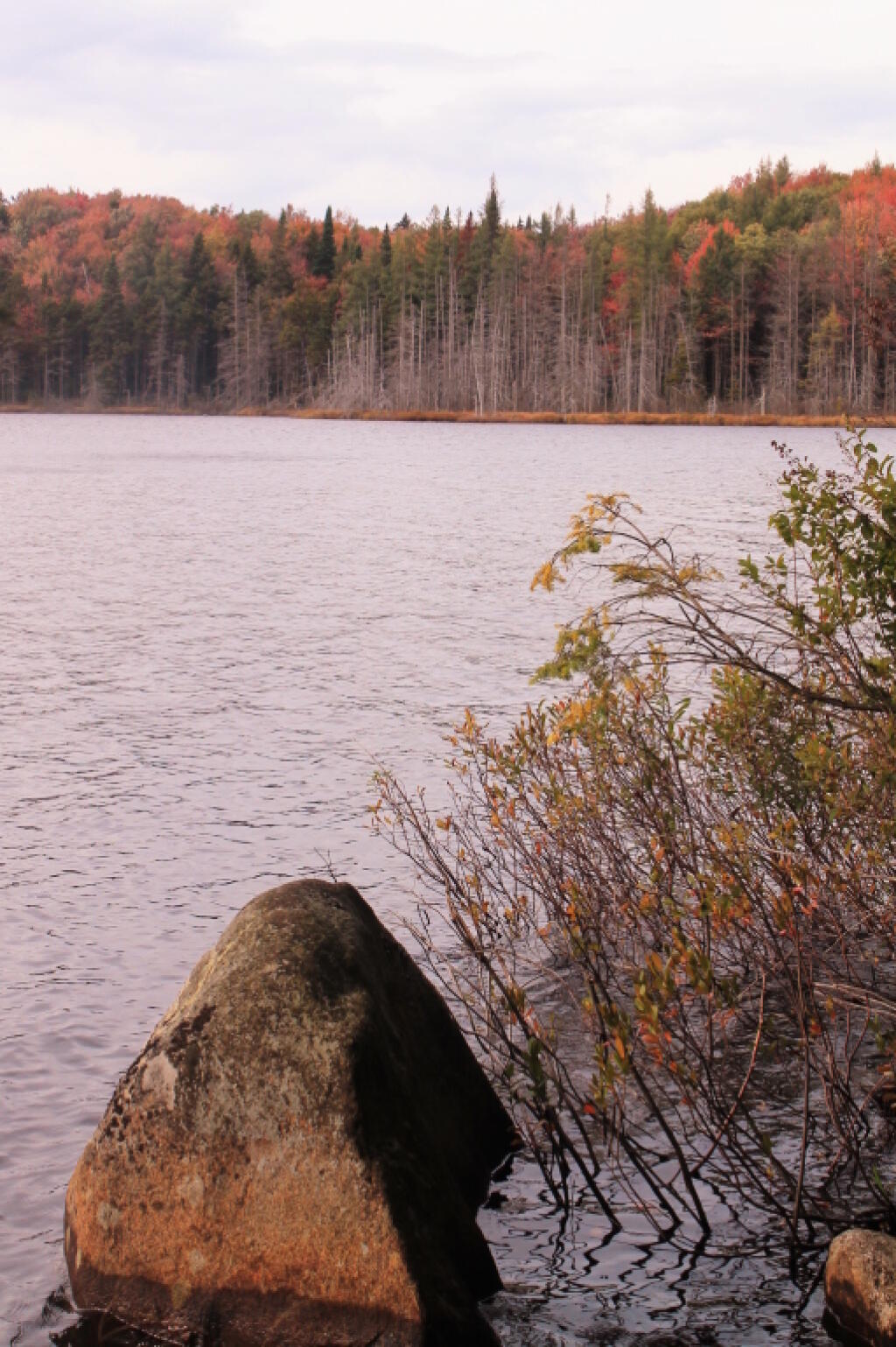 Photo: North On Indian Lake Photo: North On Indian Lake