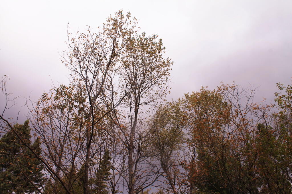 Photo: Rain Clouds Photo: Rain Clouds