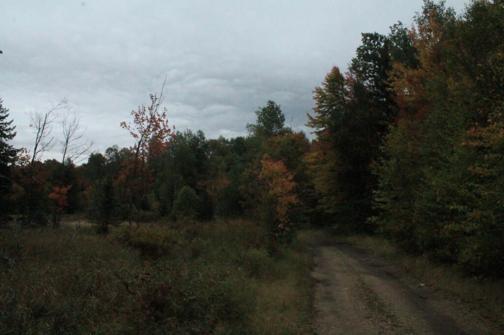 Photo: Starting To Rain