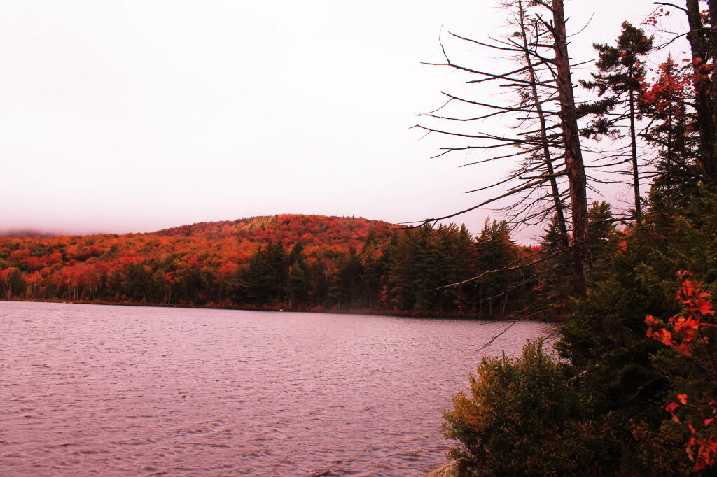 Photo: Towards Sugarloaf Mountain At Wakely Pond