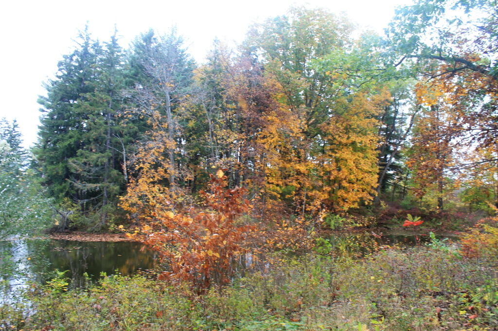 Photo: At the Pond