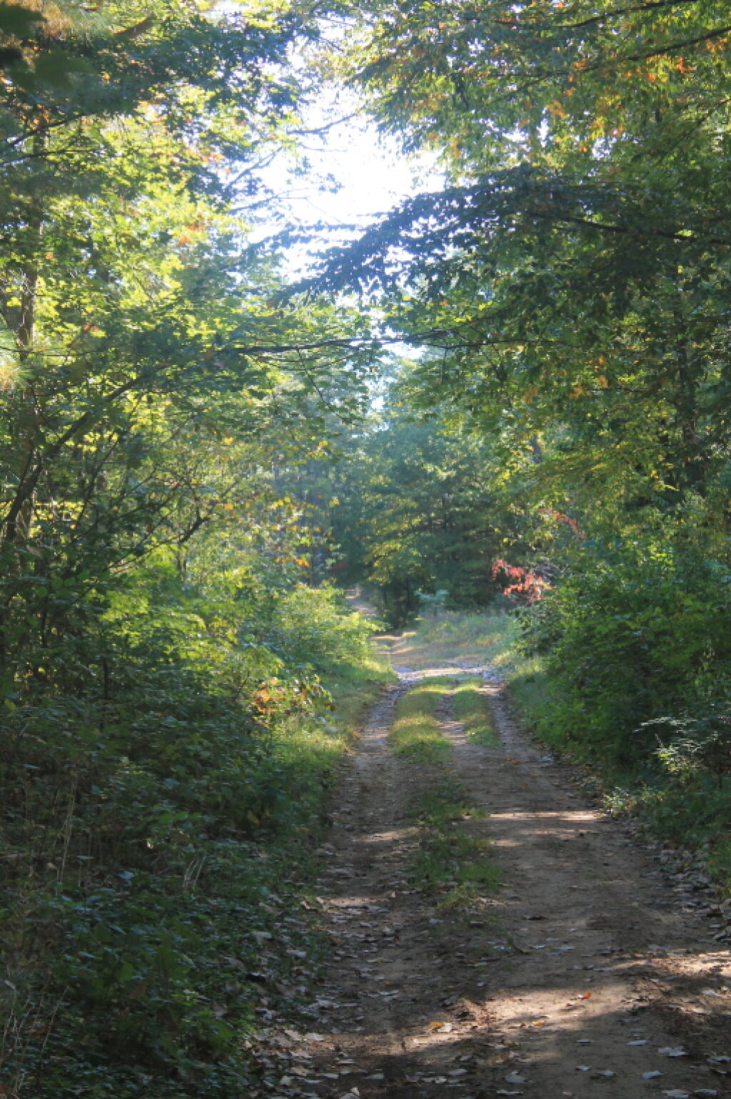 Photo: Starting Out On Pine Bush Hike