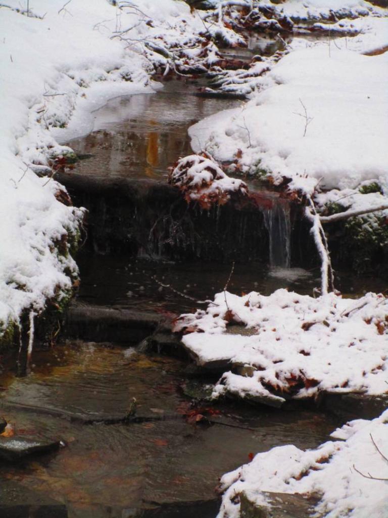 Photo: Untitled Photo: Untitled