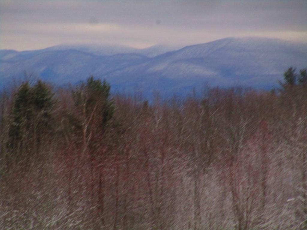 Photo: Untitled