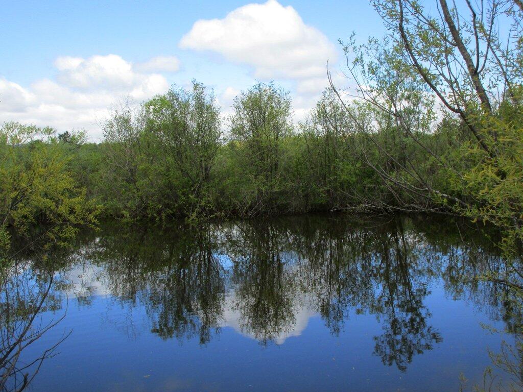 Photo: Reflection
