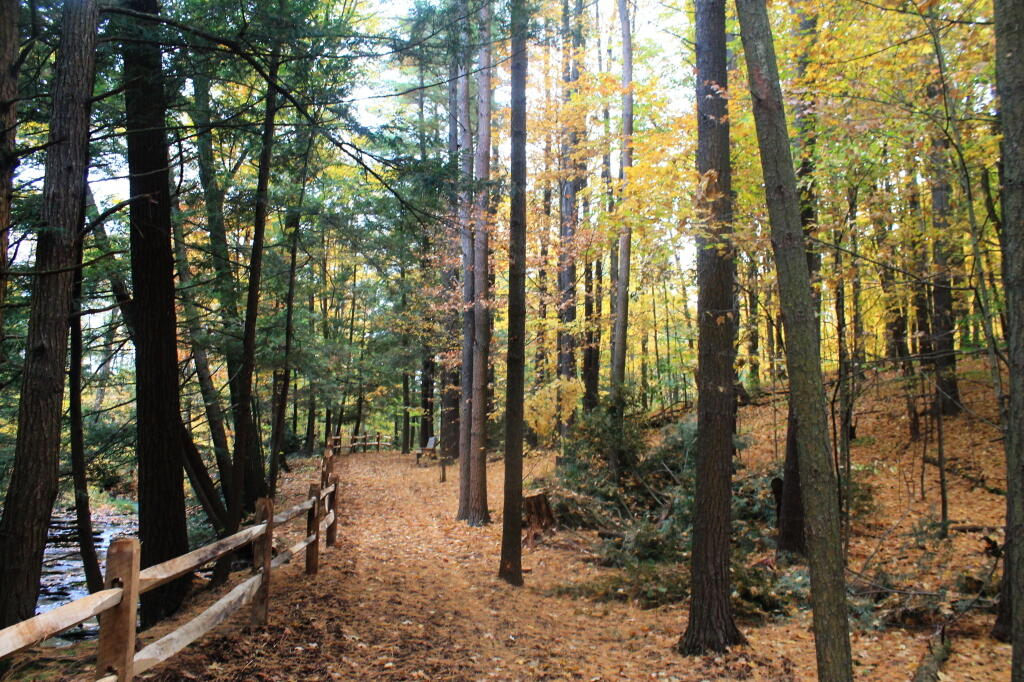 Photo: Vlomans Kill Trail