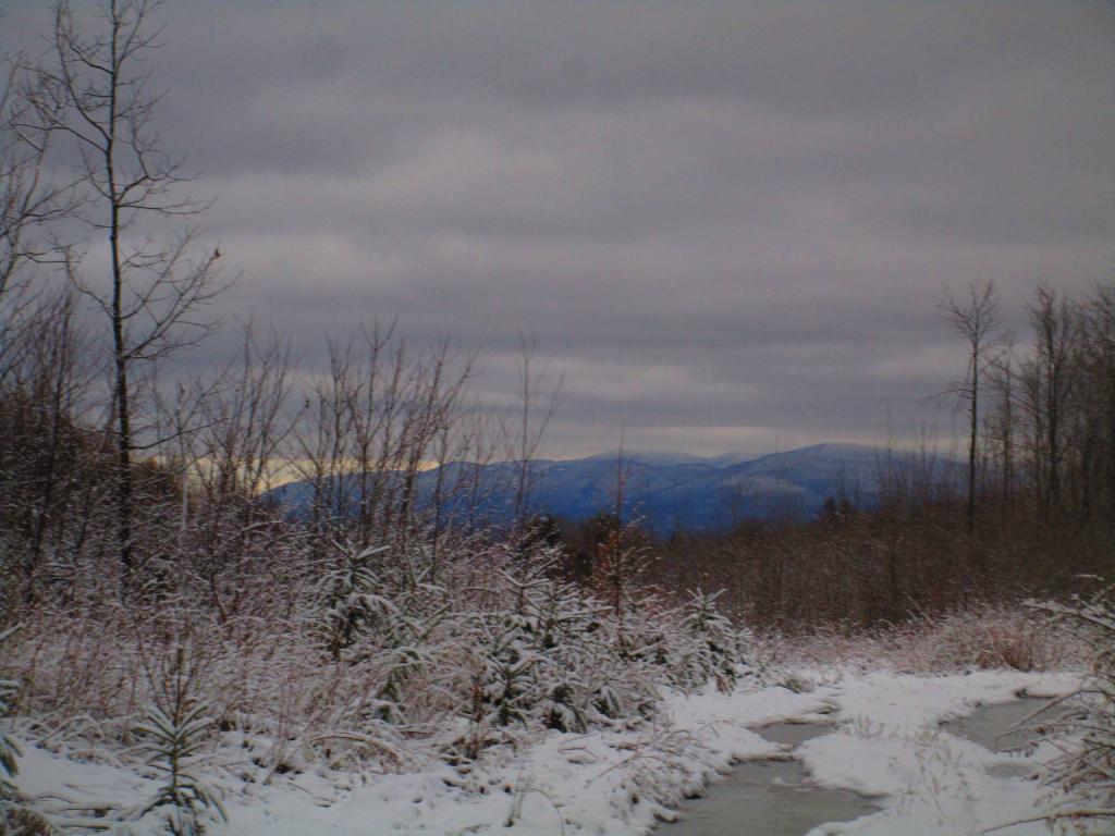 Photo: Untitled