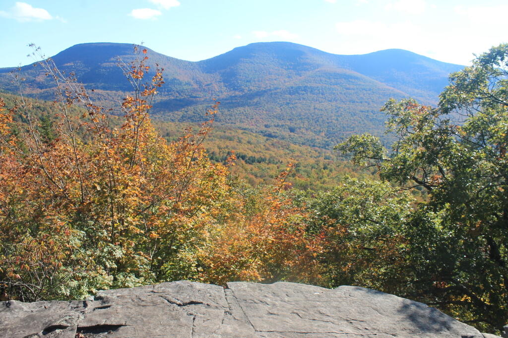 Photo: Fall