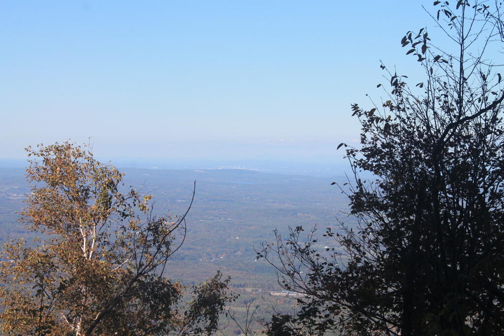 Photo: Albany in the Distance