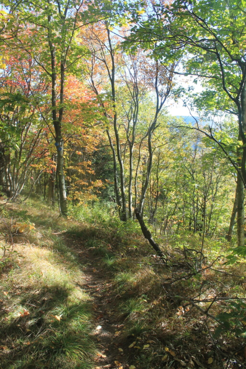 Photo: Along the Trail