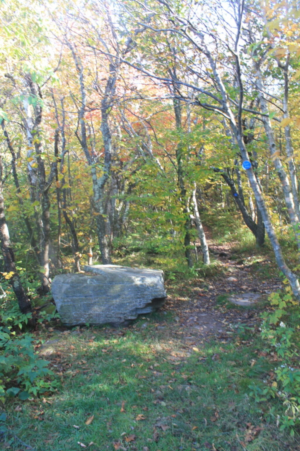 Photo: Boulder Along the Trail