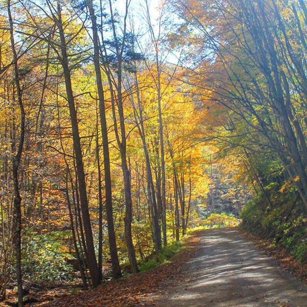 Photo: Route 7 in Gandy, WV Photo: Route 7 in Gandy, WV