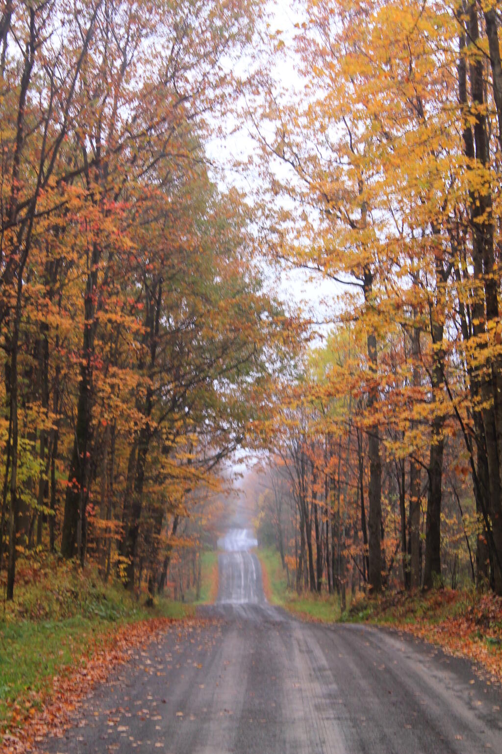 Photo: Potamac Road