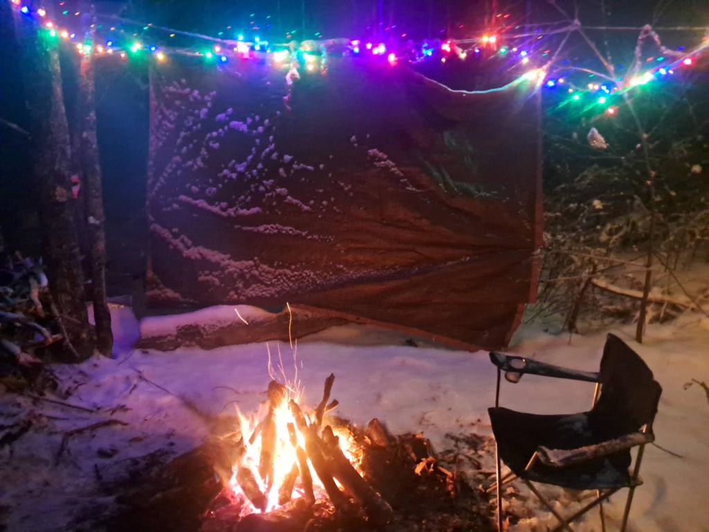 Photo: It's funny you can see the 60 hz of the LED Christmas lights making the snow flurries look like the matrix