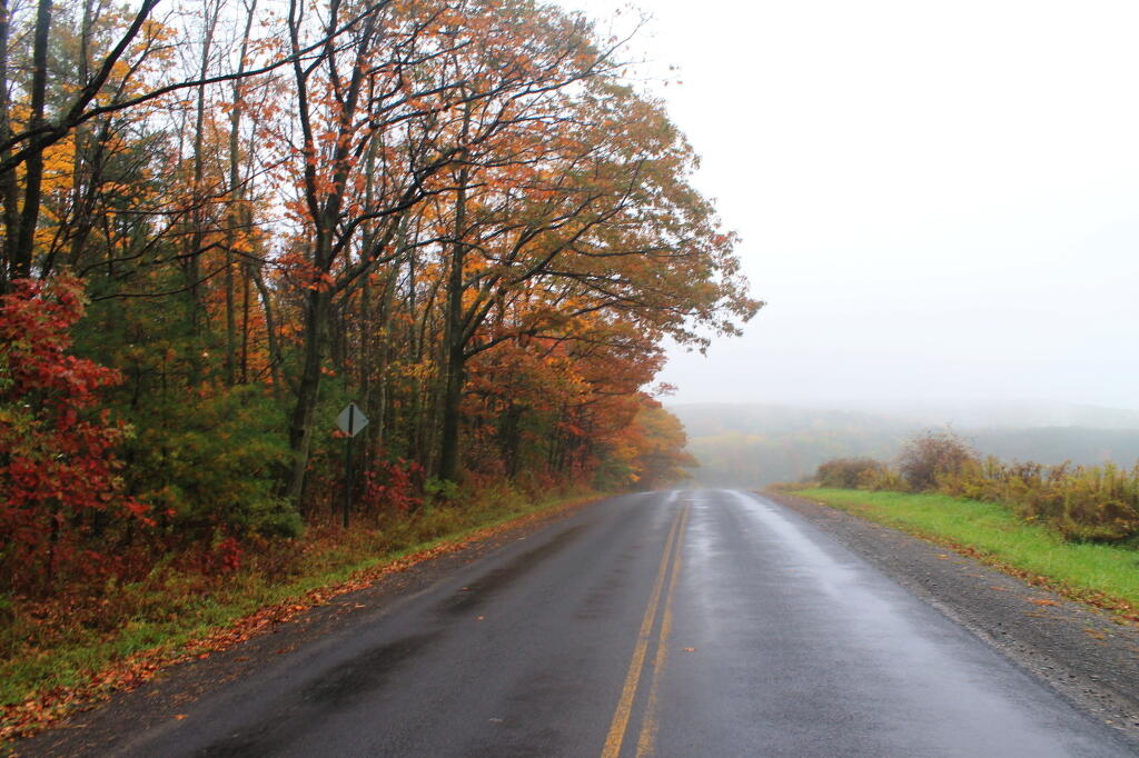 Photo: Picnic Area Road