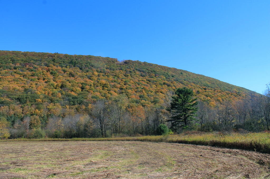 Photo: Jones Hill