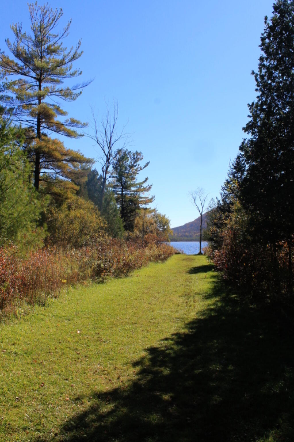 Photo: Down to Labrador Pond Photo: Down to Labrador Pond