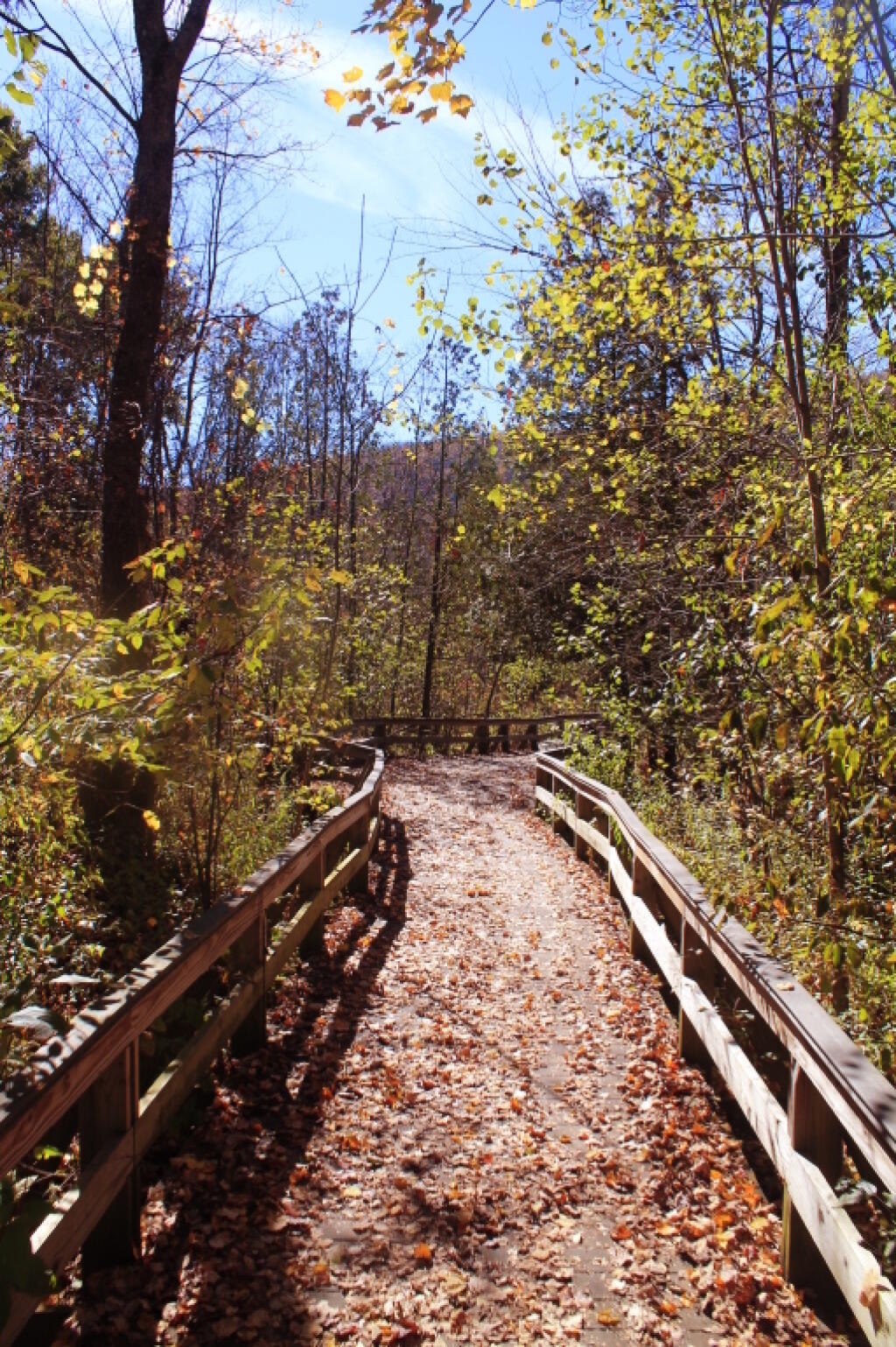 Photo: On the Walkway