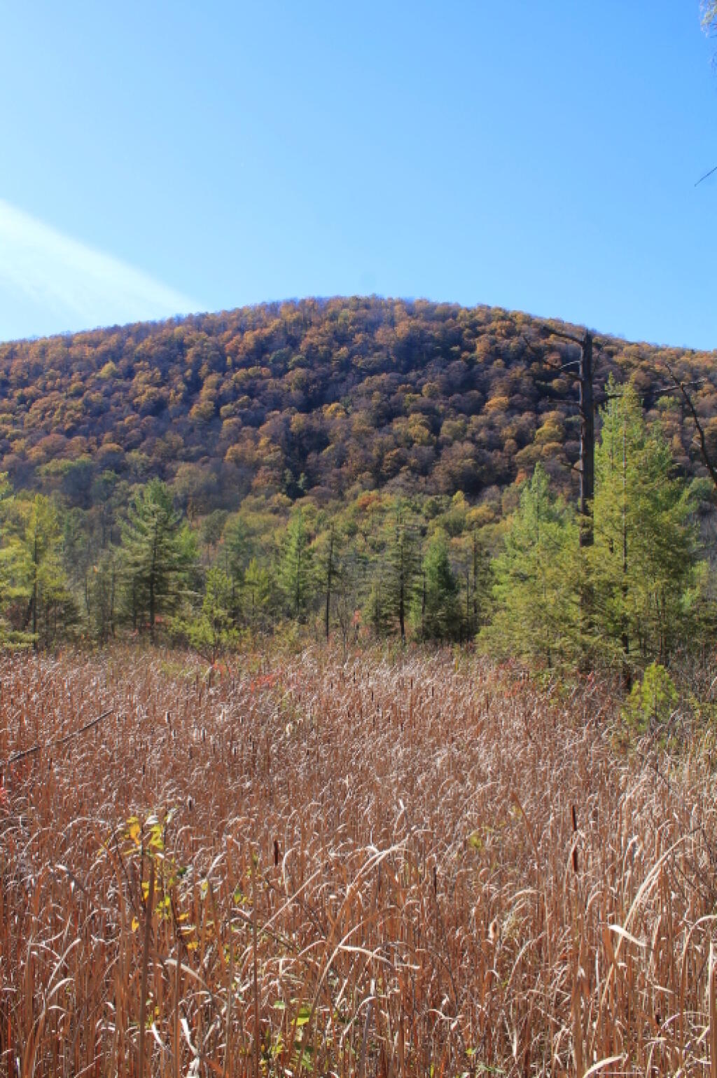Photo: Labrador Mountain