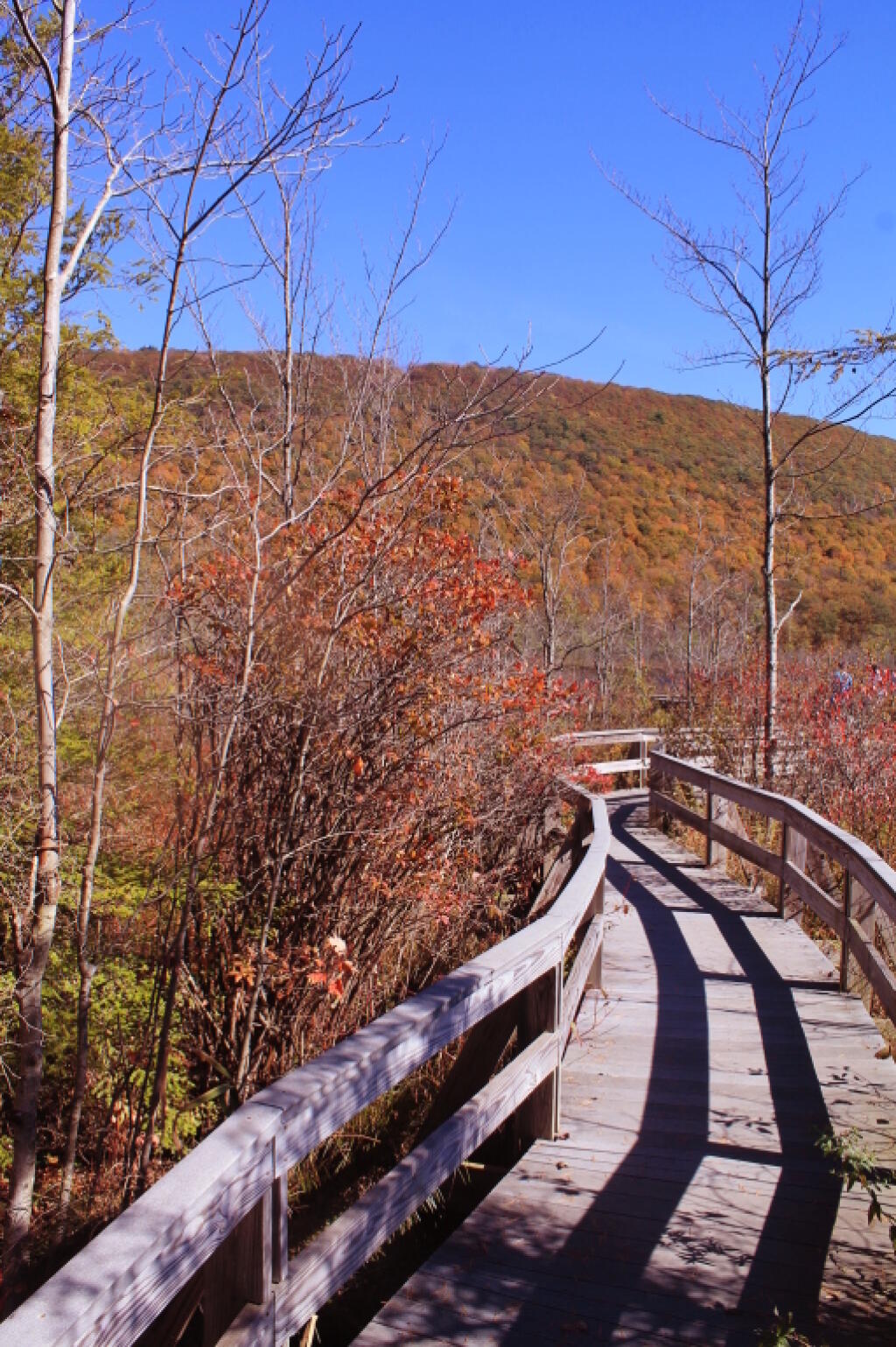 Photo: Jones Hill is Much More Colorful