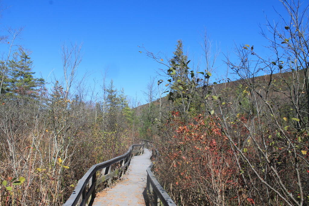 Photo: Trail