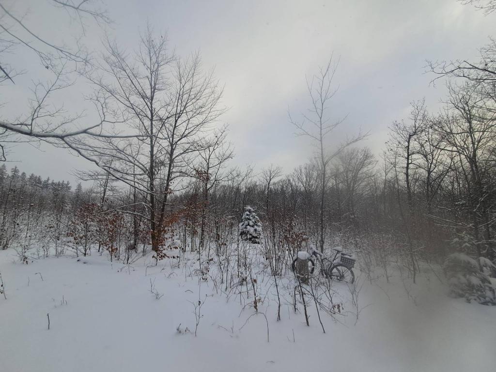 Photo: Snowy and cold morning! Photo: Snowy and cold morning!
