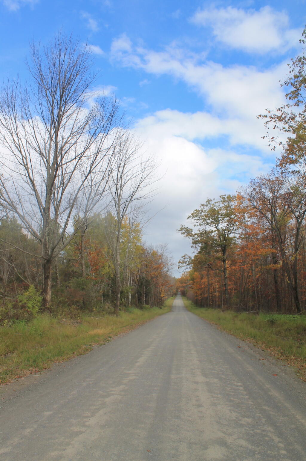 Photo: Potamac Road 2