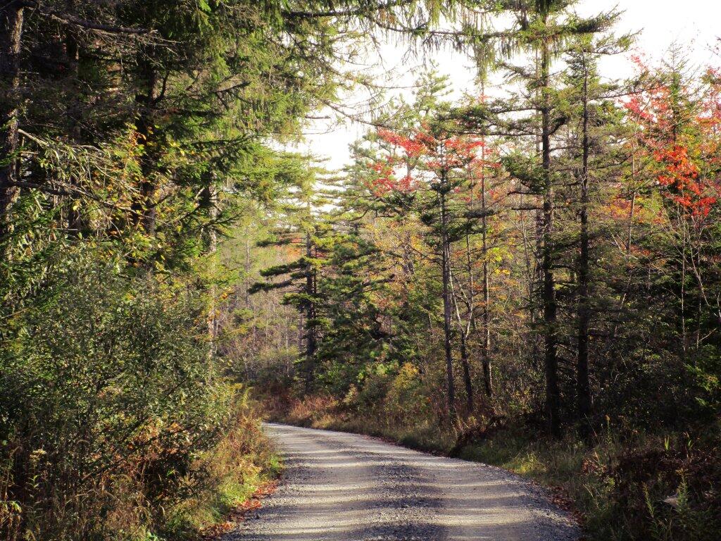 Photo: Country Roads