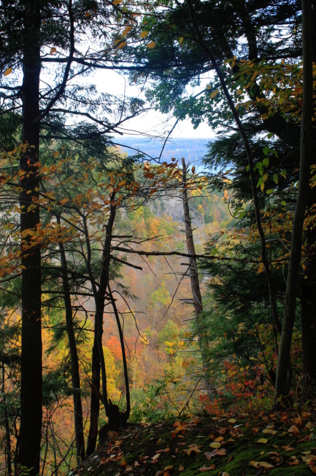 Photo: Seneca Lake in the Distance Photo: Seneca Lake in the Distance