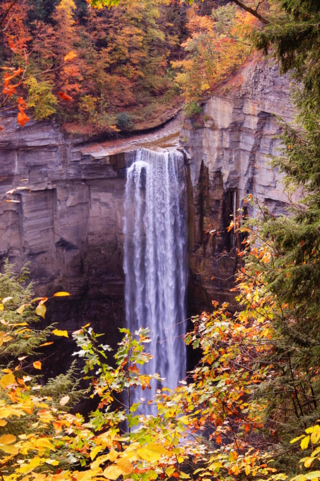 Photo: A Secret Spot for Observing the Falls Photo: A Secret Spot for Observing the Falls
