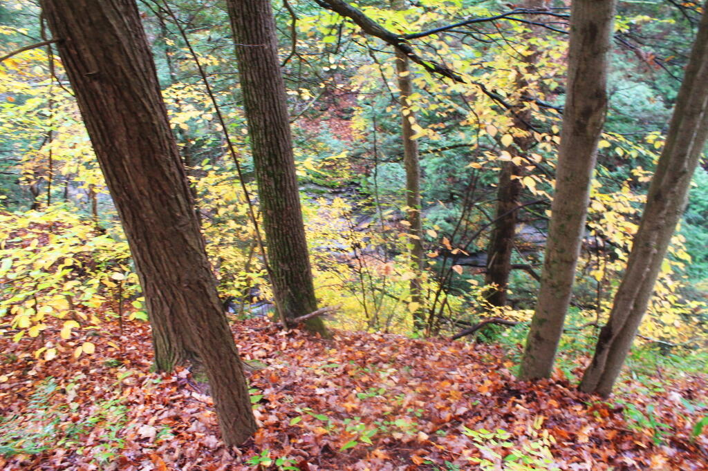 Photo: As Close As We Get to the Glen Photo: As Close As We Get to the Glen