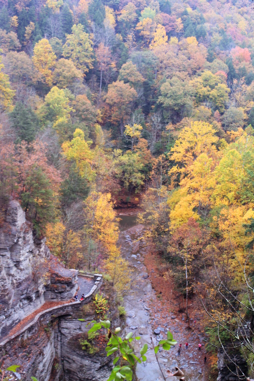 Photo: Gorge Trail Along Lucifer Falls Photo: Gorge Trail Along Lucifer Falls
