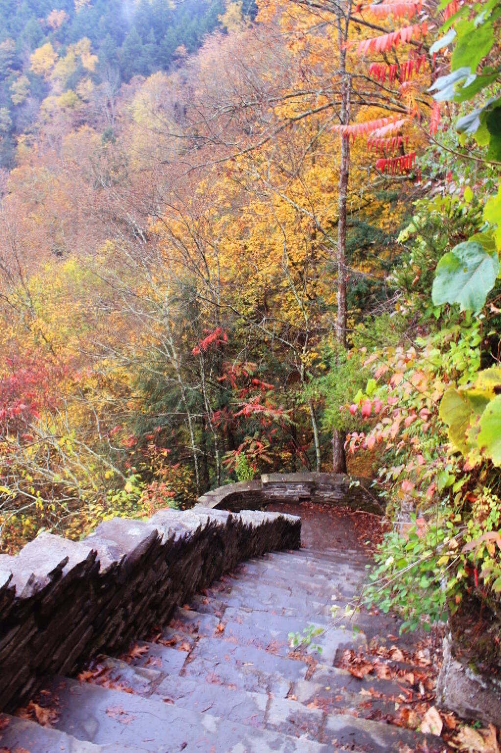 Photo: Fall Colors Along the Great Staircase Photo: Fall Colors Along the Great Staircase