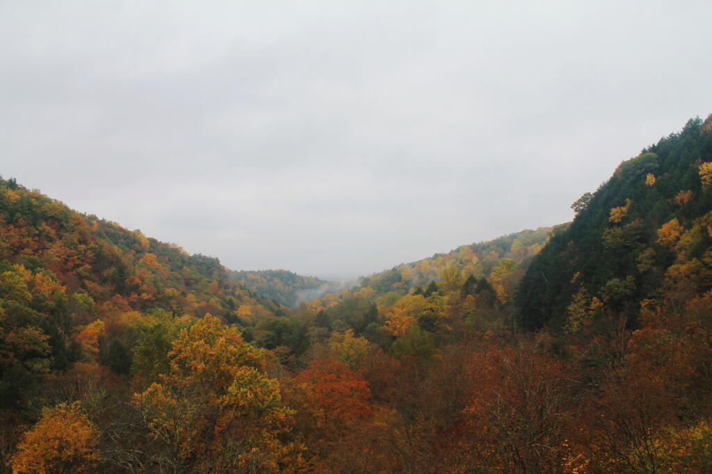 Photo: Fog Rises Photo: Fog Rises