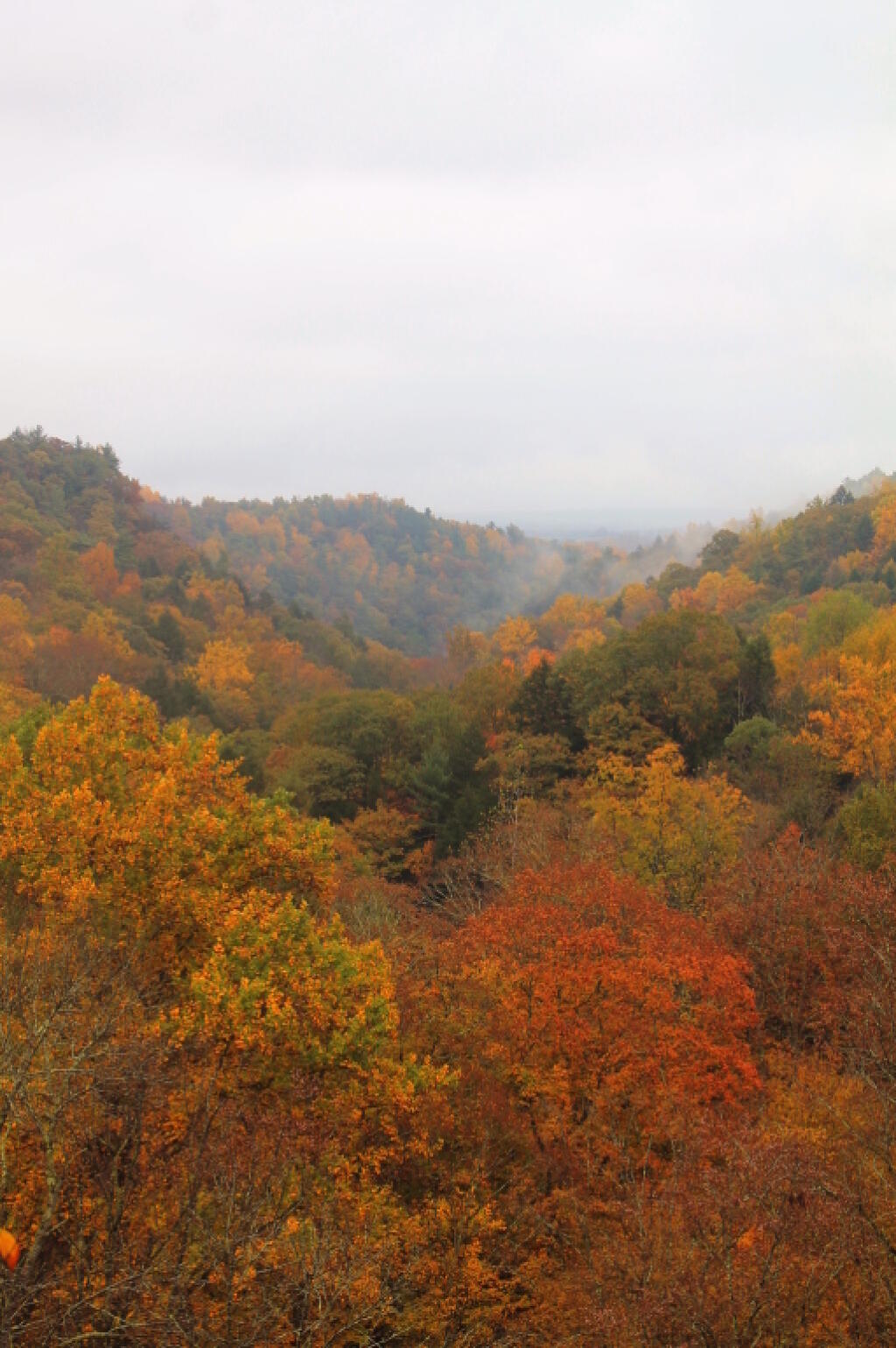 Photo: Gorge View from the Stairs