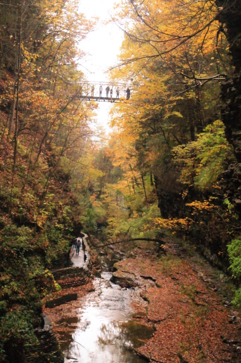 Photo: Suspension Bridge Over Gorge Photo: Suspension Bridge Over Gorge