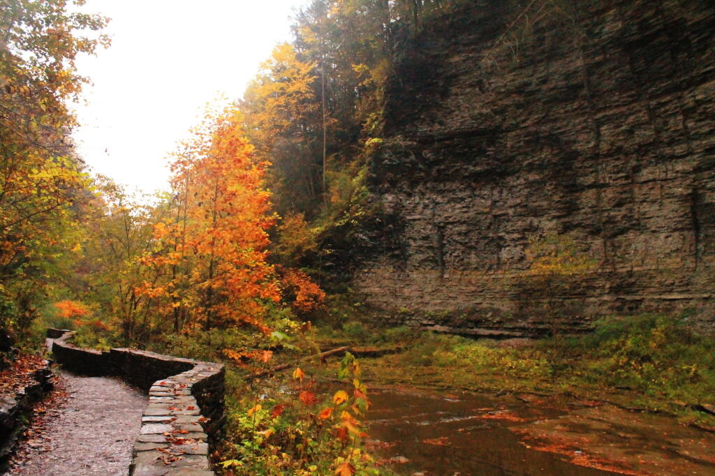Photo: Cathedral Glen Photo: Cathedral Glen