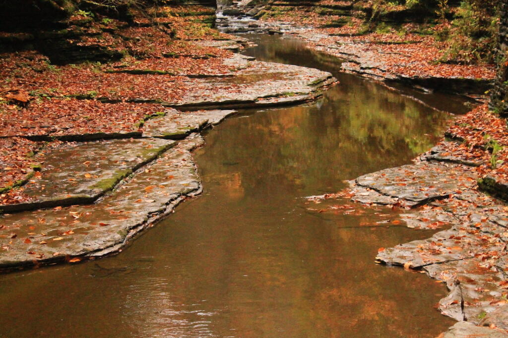 Photo: Reflections Photo: Reflections
