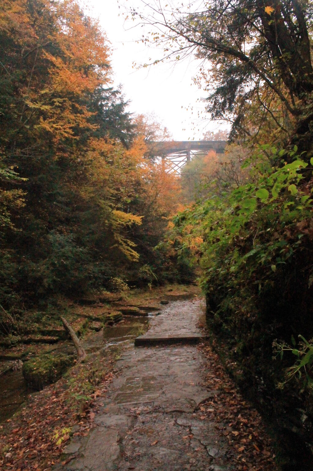 Photo: Railroad Bridge