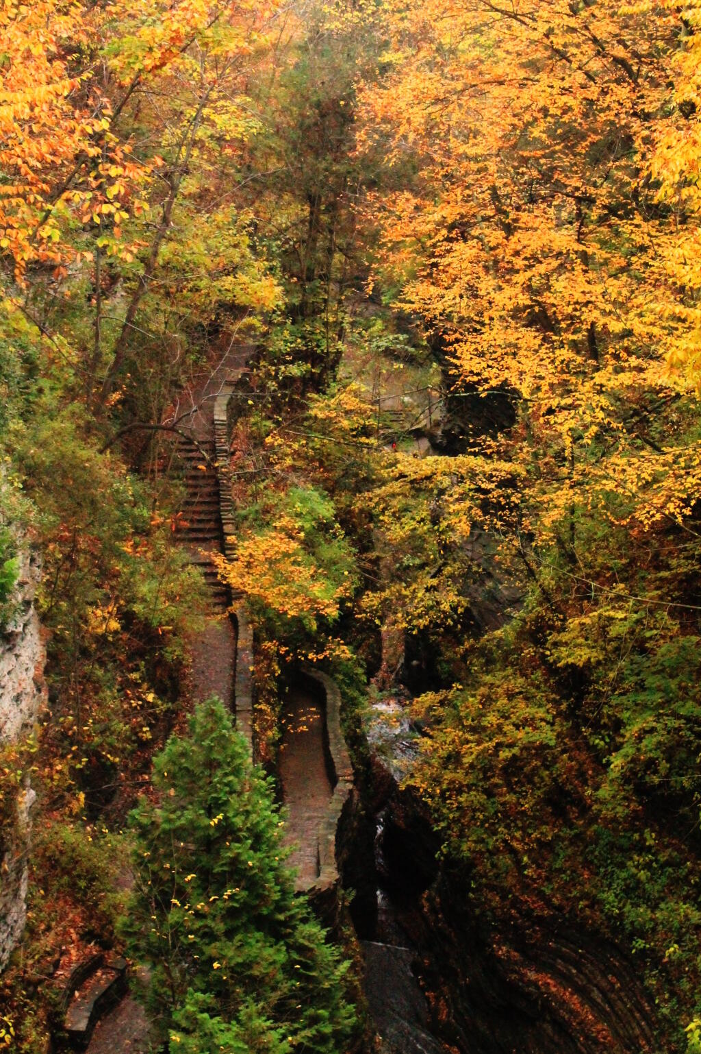 Photo: The Many Stairs in the Gorge