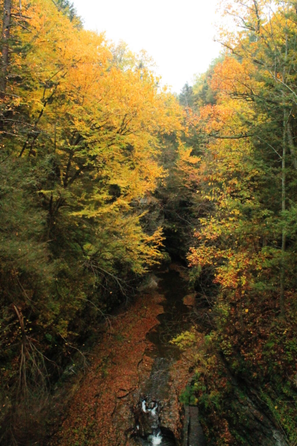Photo: Fall