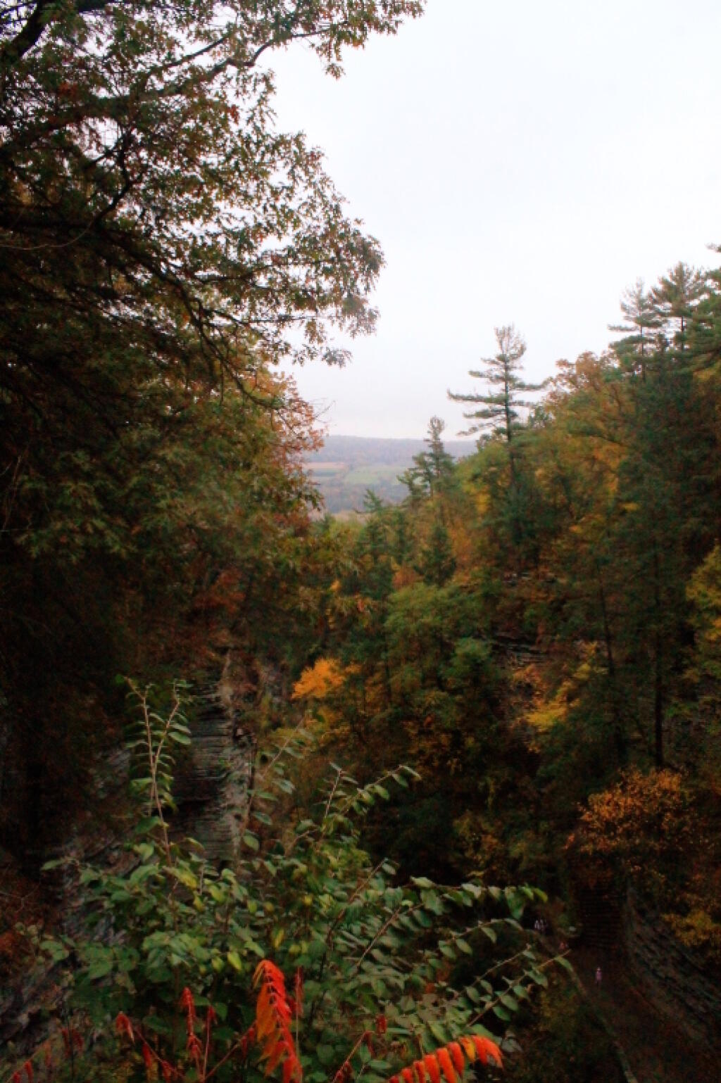 Photo: Looking Out Towards Watkins Glen