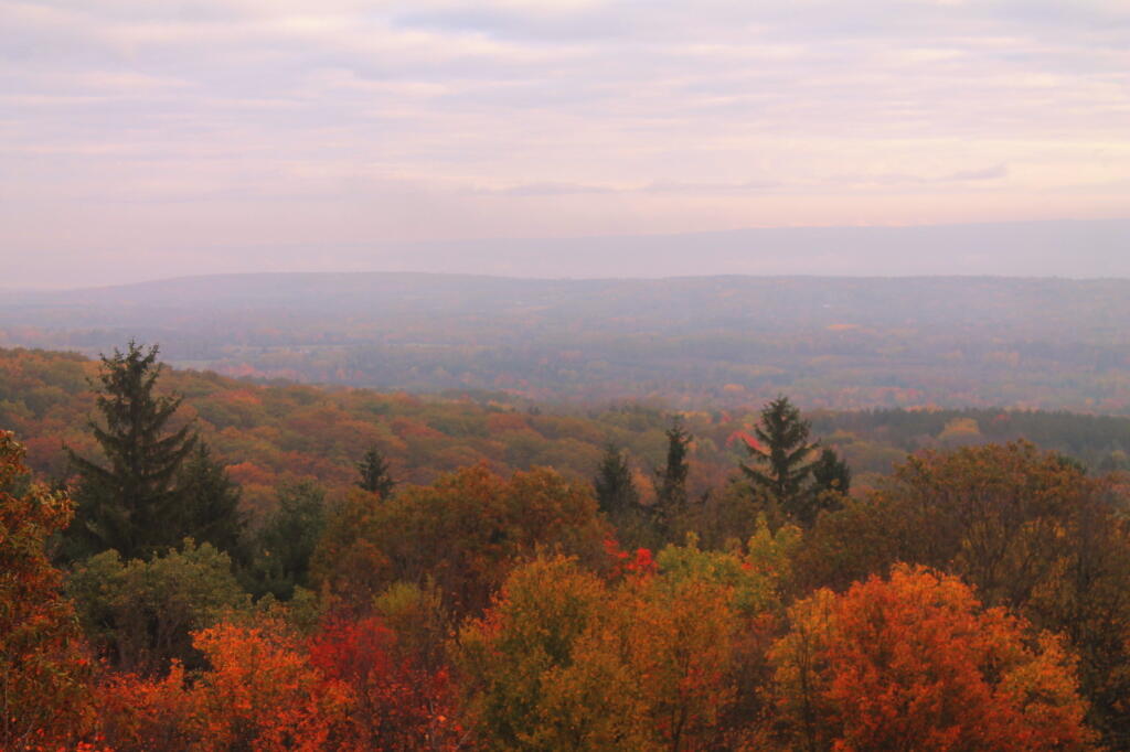 Photo: Towards Seneca Lake Photo: Towards Seneca Lake