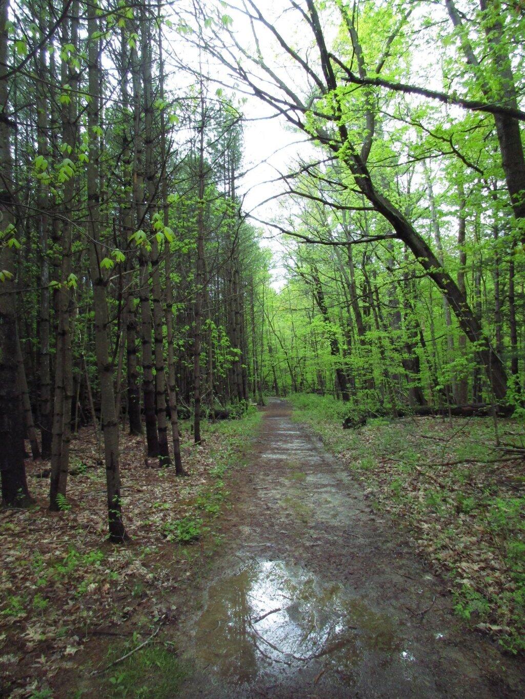 Photo: Soggy Photo: Soggy